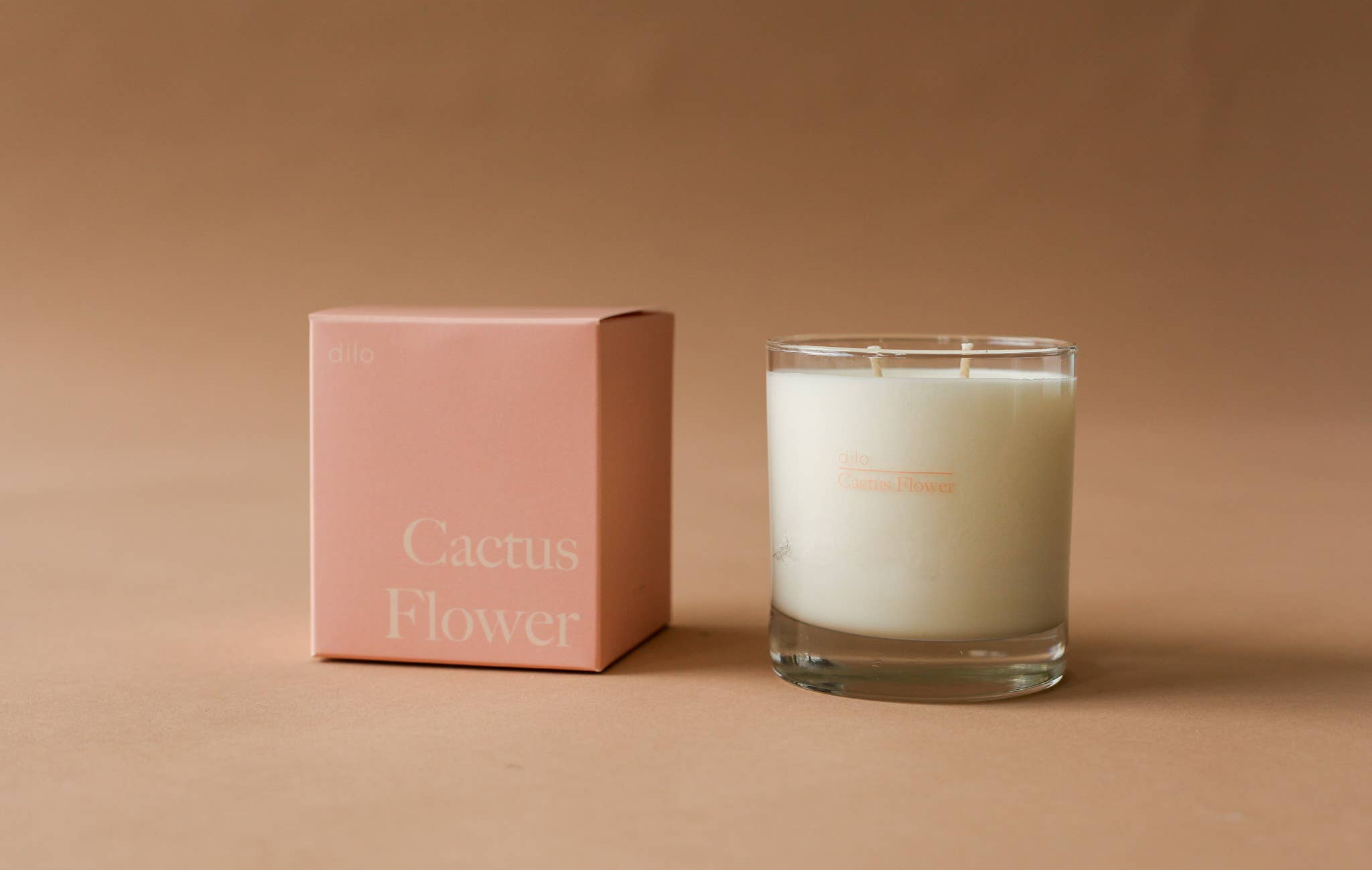Photo of a dilo cactus flower candle box and unlit candle