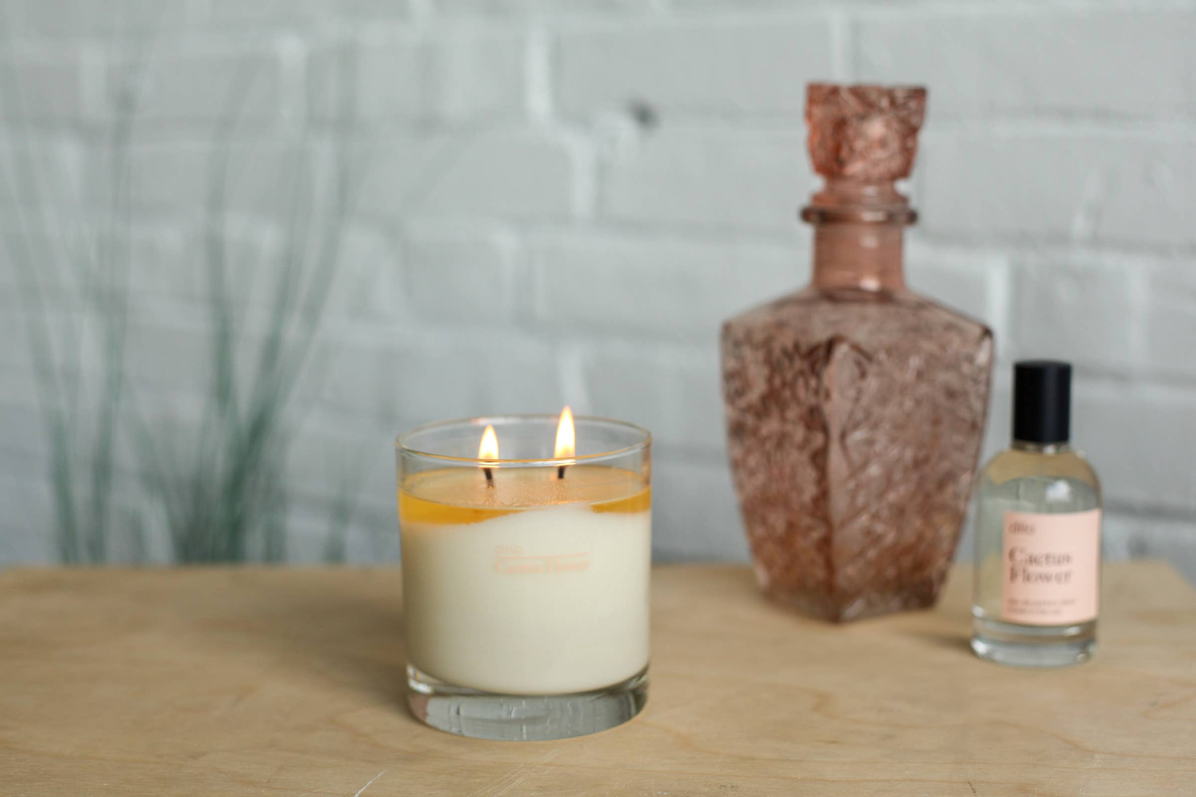 A photo of a dilo cactus flower candle burning