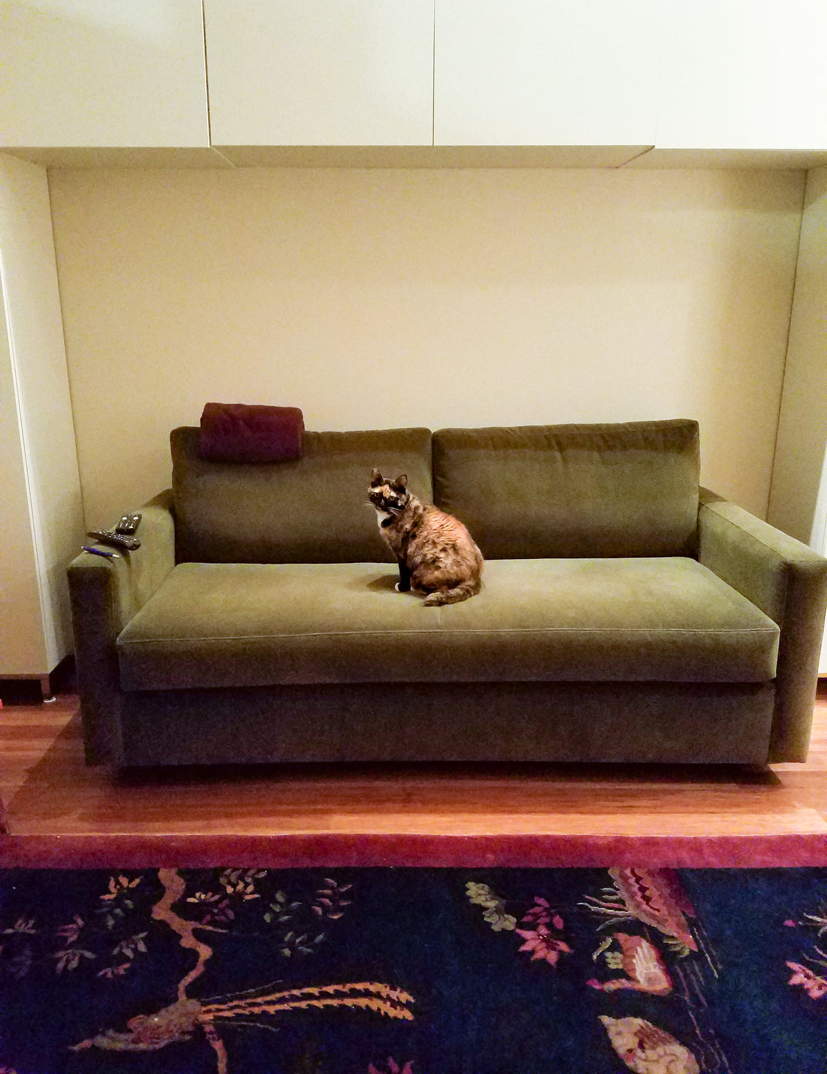 small living room with a rug, a green velvet Quinn sofa and a cat sitting on top of the sofa.