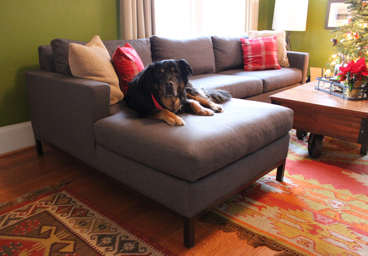 Puppy lying on a grey Quinn sofa in a living room setting, with some festive holiday decor.