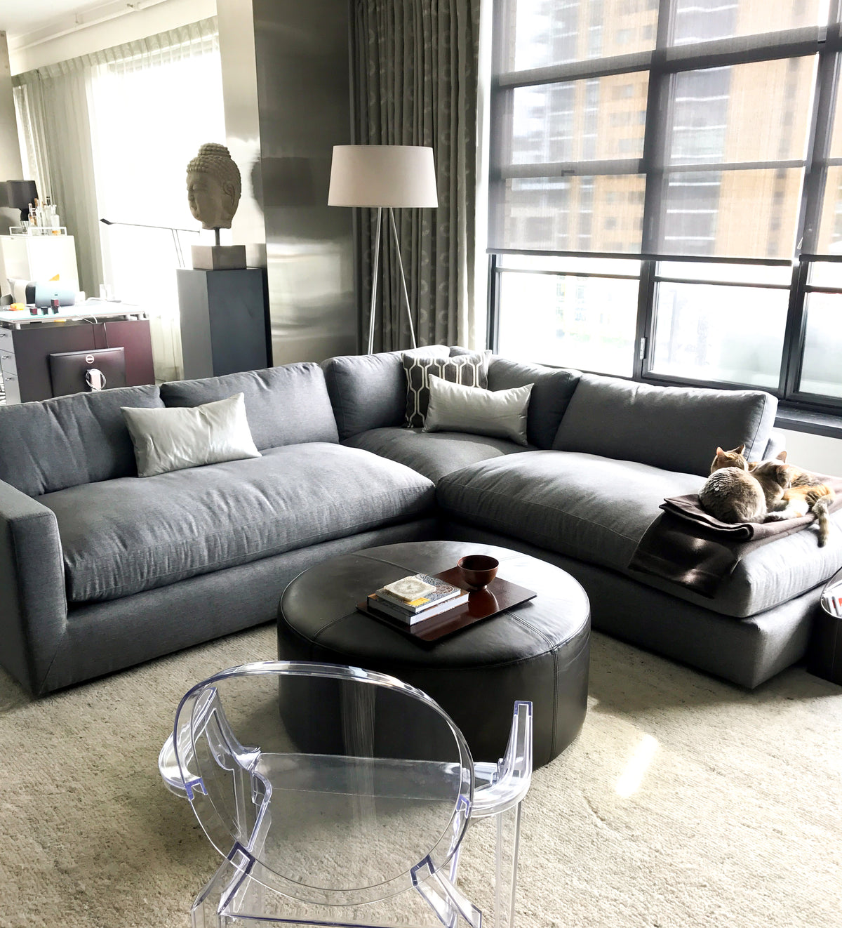 very modern living room with a Lowe grey sectional and two cats perched on top, some decor pillows, a small leather ottoman and a clear acrylic chair.